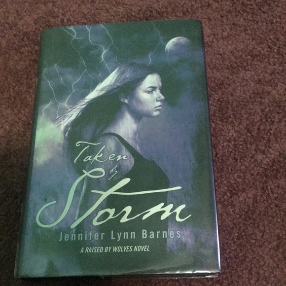 ‘taken by storm’ by jennifer lynn barnes - Picture 1 of 4